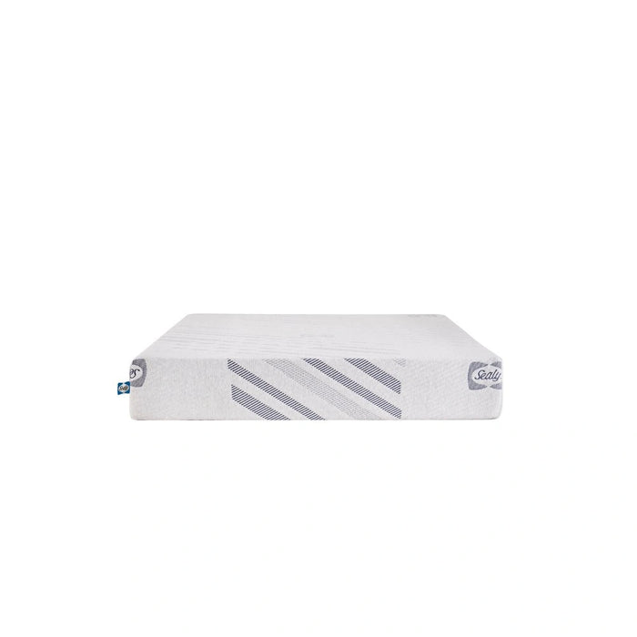 Sealy Lane Foam Mattress