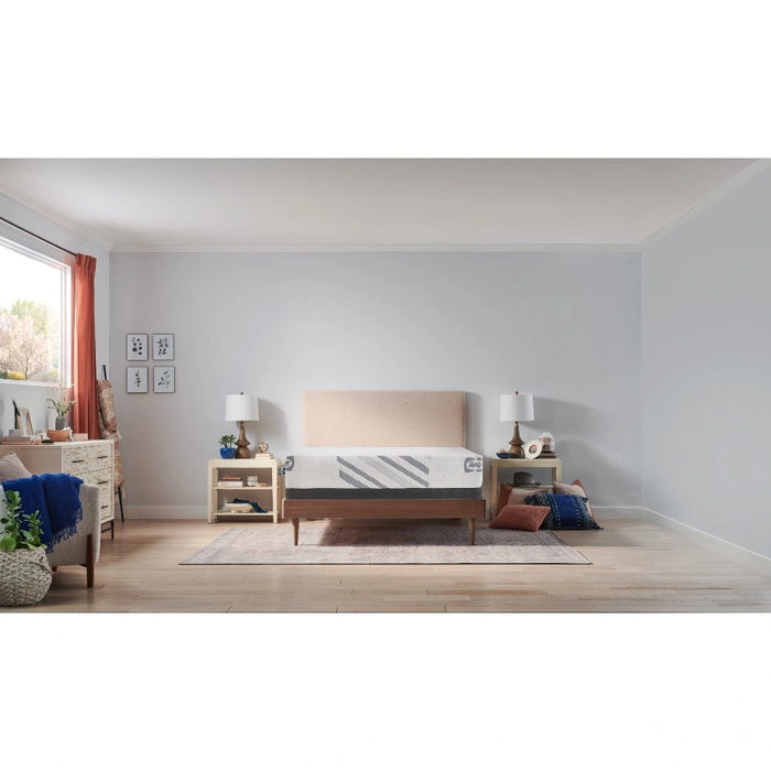 Sealy Provision Foam Mattress