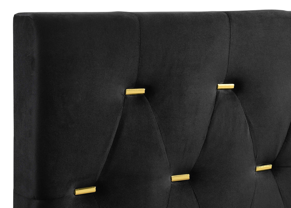 Kendall Panel Bed Black