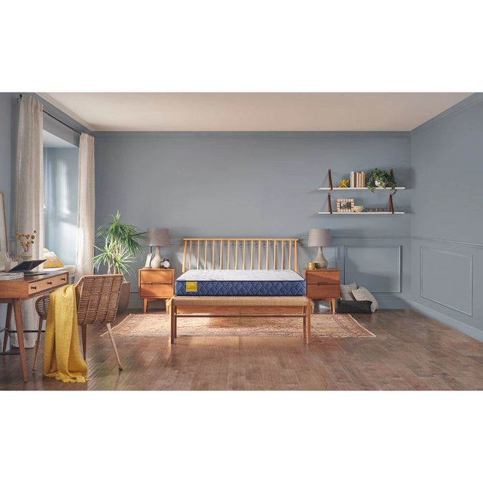 Sealy Erie Foam Mattress