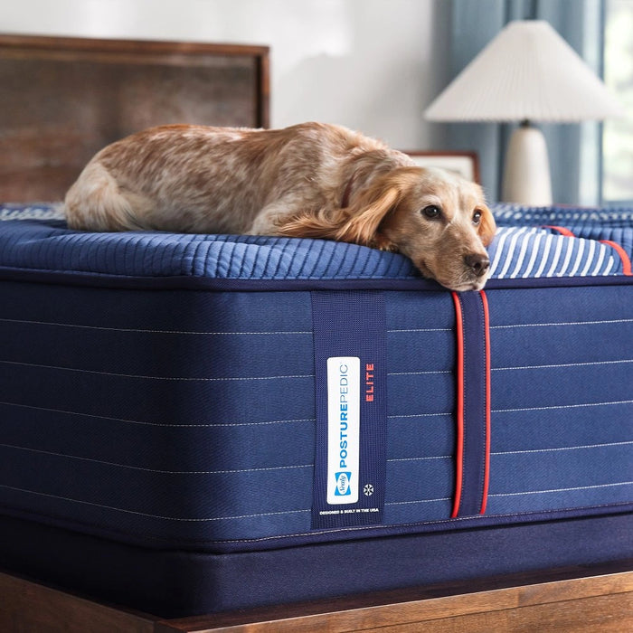 Sealy Albany II Spring Mattress