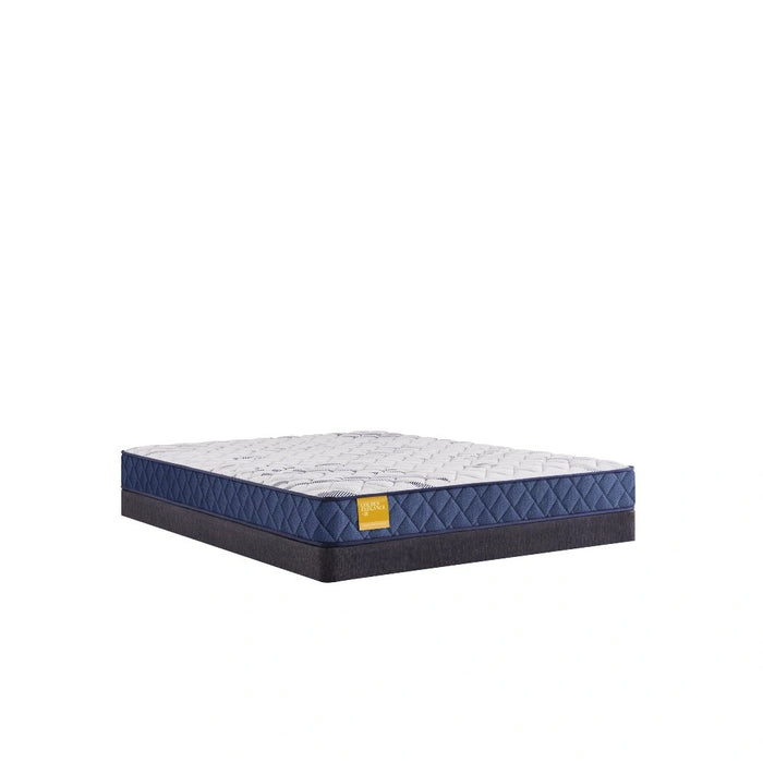 Sealy Erie Foam Mattress