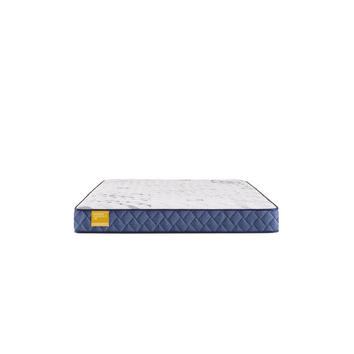 Sealy Erie Foam Mattress