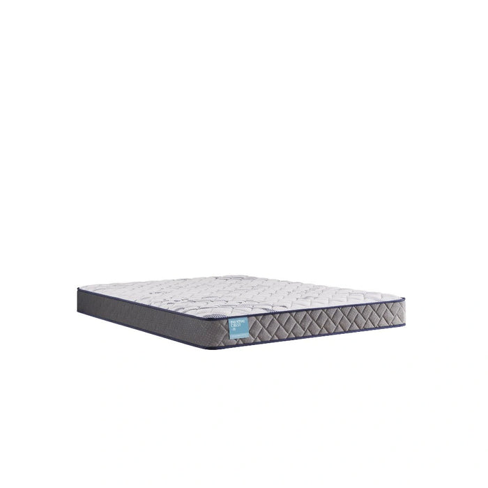 Sealy Nori Foam Mattress