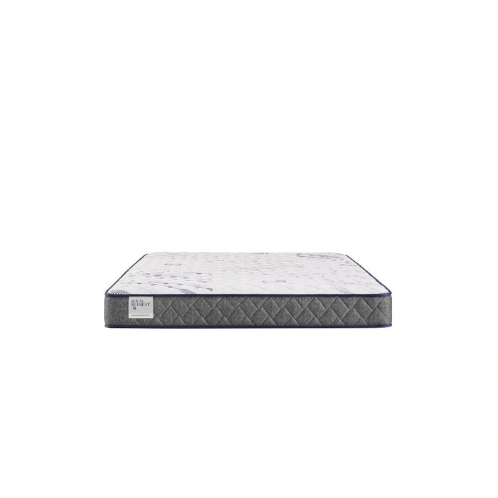 Sealy Paisley Foam Mattress
