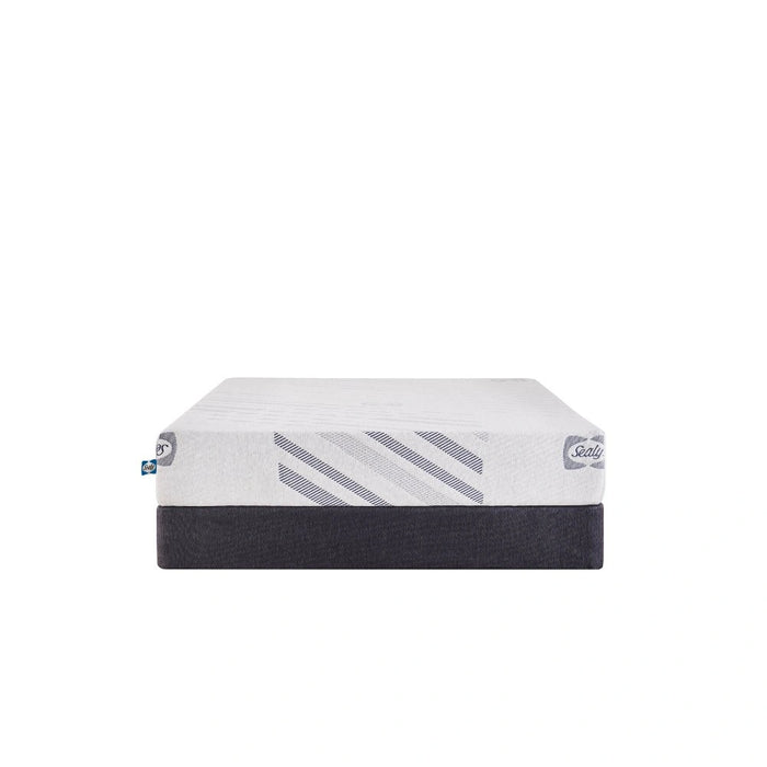 Sealy Second & Park Foam Mattress