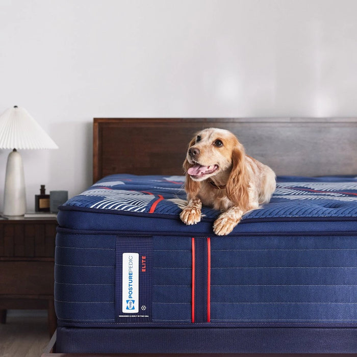 Sealy Albany II Spring Mattress